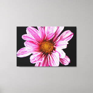 Toile Fleur Chrysanthemum 36x24 (90x60cm) wacm