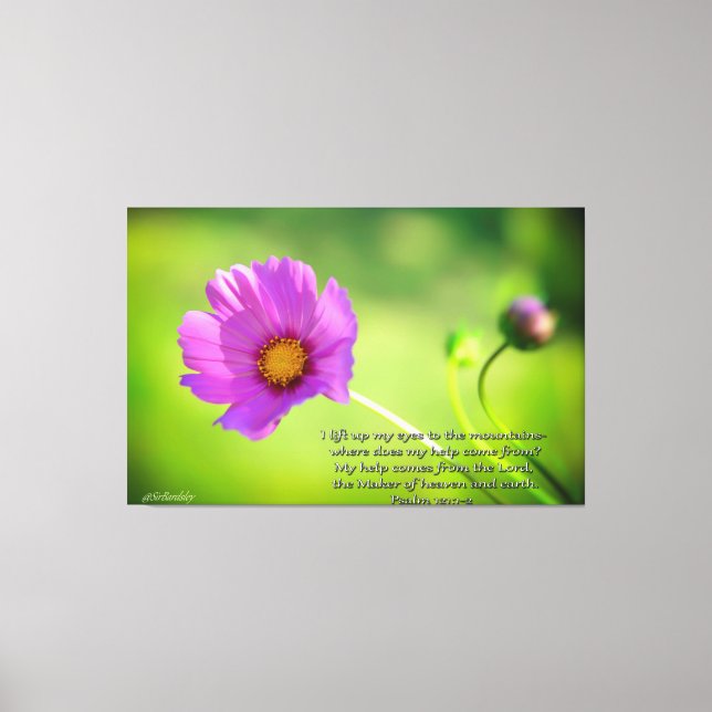 Toile Fleur Cosmo avec Bible Verse Psaumes 121:1-2 (Recto)