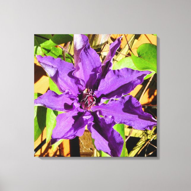 TOILE FLEUR DE CLEMATIS (Recto)