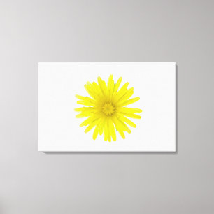 Toile Fleur de Dandelion (Taraxacum officinale), un comp