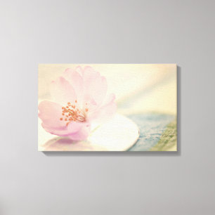 Toile Fleur de fleurs de cerisier rose doux