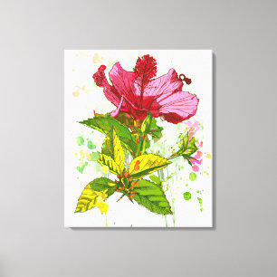 Toile Fleur de ketmie - peinture 2 d'aquarelle