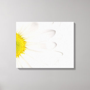 Toile Fleur de marguerite blanche Arrière - plan de marg