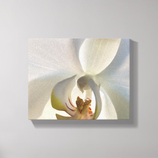 Toile Fleur de Orchidée Blanche (Recto)