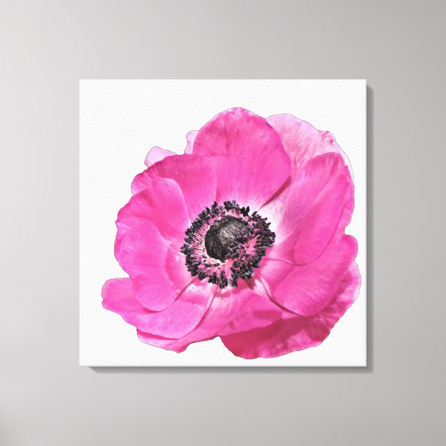 Toile Fleur de pavot rose vif Design floral blanc (Recto)