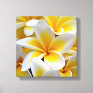 Toile Fleur Frangipani Plumeria