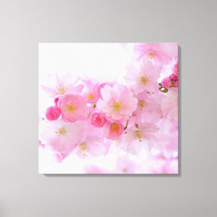 Toile Fleur japonaise de cerisier