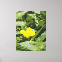 Fleur jaune audacieuse parmi les feuilles vertes