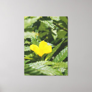 Toile Fleur jaune audacieuse parmi les feuilles vertes