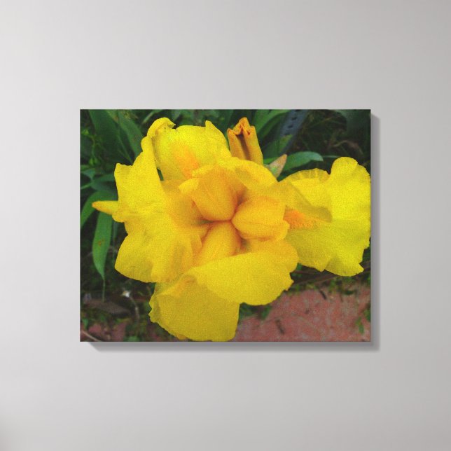 Toile Fleur Jaune Iris (Recto)