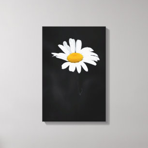 Toile Fleur marguerite blanche et jaune sur noir