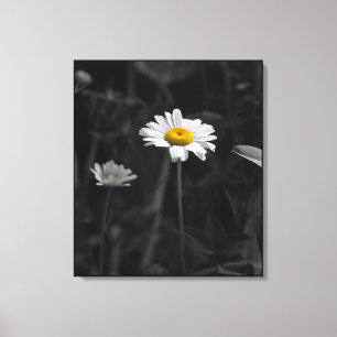 Toile Fleur noire et blanche de marguerite jaune