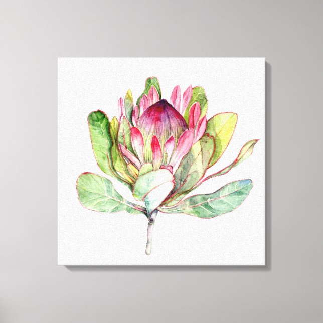 Toile Fleur Protea (Recto)