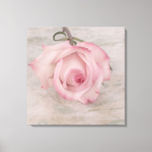 Toile Fleur rose douce