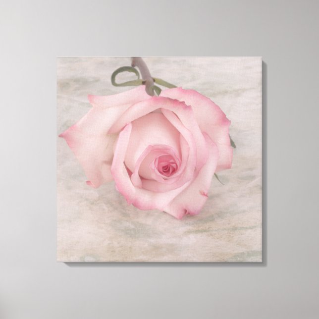 Toile Fleur rose douce (Recto)
