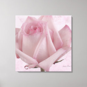 Toile Fleur rose douce