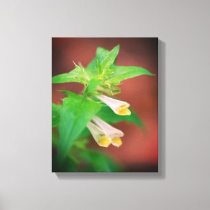 Toile Fleur sauvage blanc minuscule gros plan