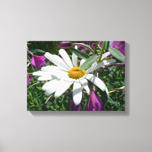 Toile Fleur sauvage Daisy et Fireweed