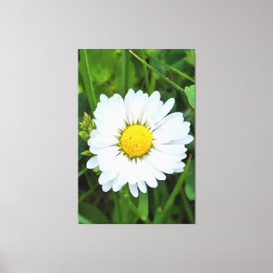 Toile Fleur Sauvage Roumanie – Photographie Botanique Ma