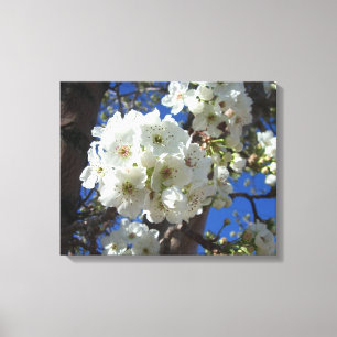 Toile Fleurs blanches I Poirier ornemental