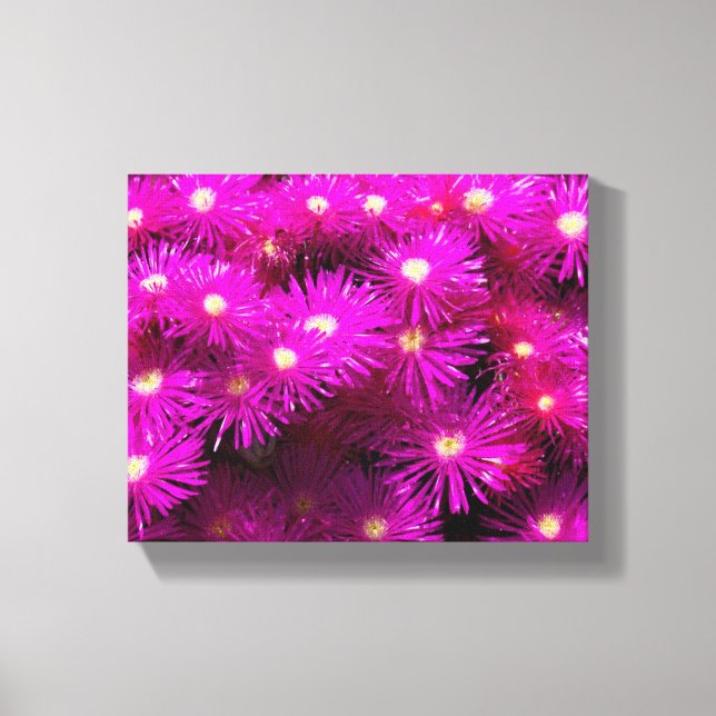 Toile Fleurs d'aster rose (Recto)