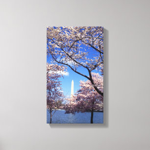 Toile Fleurs de cerisier dans le Washington DC