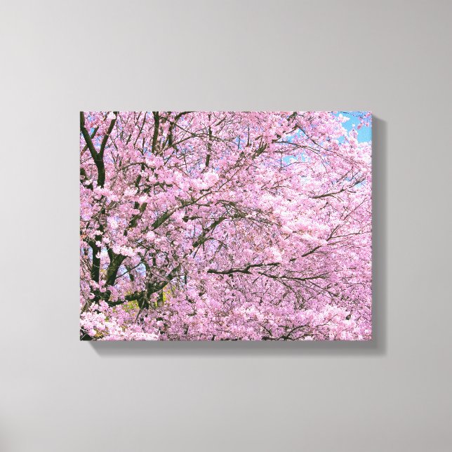 Toile Fleurs de cerisiers en fleurs (Recto)