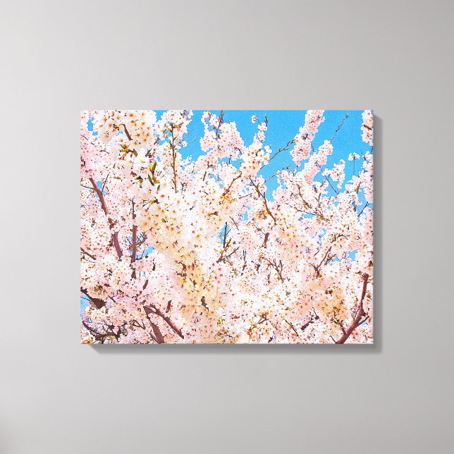 Toile Fleurs de cerisiers en pleine floraison (Recto)