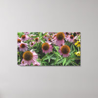 Fleurs de cône d'échinacée en violet et jaune