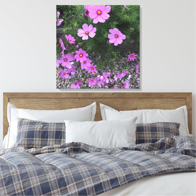 Toile Fleurs de cosmos avec cailloux sur un (Insitu(Chambre))