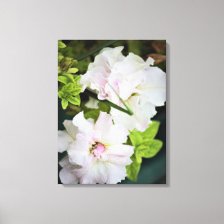 Toile Fleurs de Gardenia