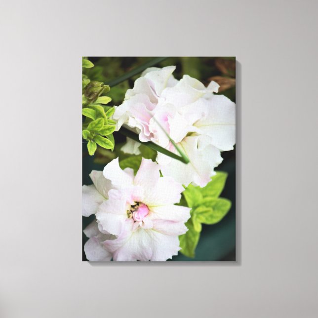 Toile Fleurs de Gardenia (Recto)