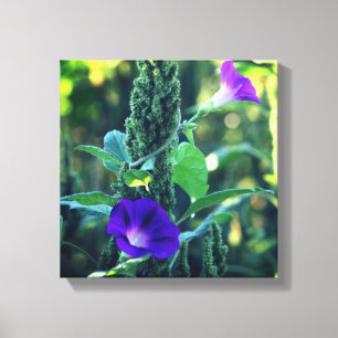Toile Fleurs de gloire violet sauvage du matin