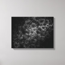 Fleurs de jardin en noir et blanc n° 29