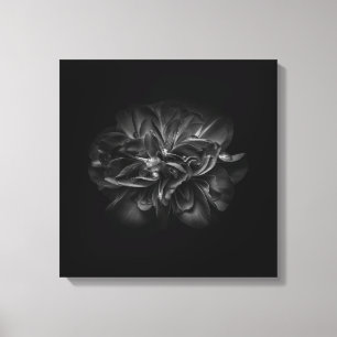 Toile Fleurs de jardin en noir et blanc n° 67