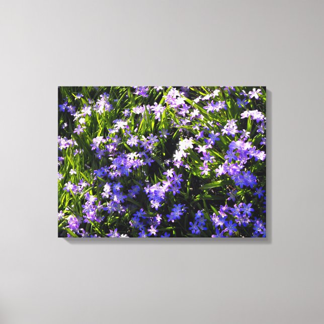 Toile Fleurs de printemps Blue Squale (Recto)