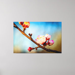 Toile Fleurs de Prunier Japonais Et Le Ciel Bleu Clair