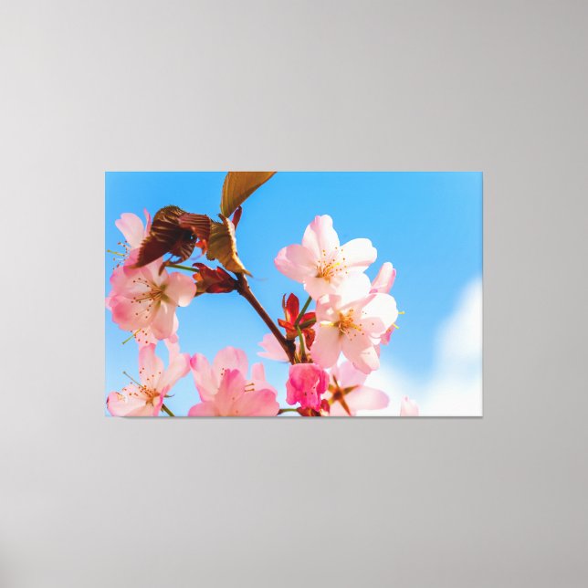 Toile Fleurs De Sakura Cute Ouverte Au Soleil Du Printem (Recto)