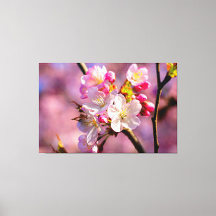 Toile Fleurs de Sakura Fraîches dans le Jardin au Printe