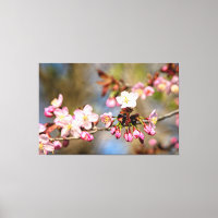 Fleurs de Sakura fraîches et ensoleillées et bourg