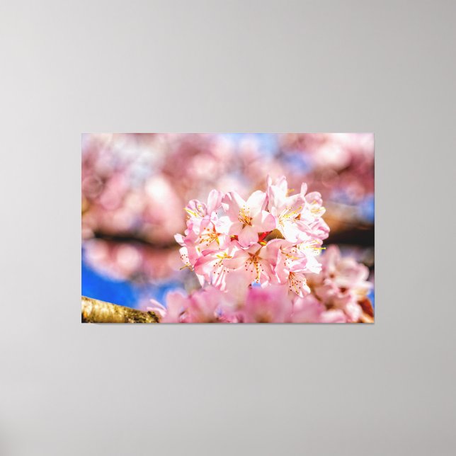 Toile Fleurs de Sakura roses époustouflantes et incroyab (Recto)