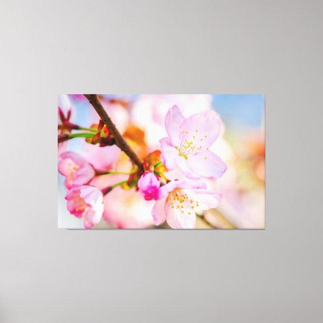 Toile Fleurs de Sakura roses. Le triomphe de la vie au p (Recto)