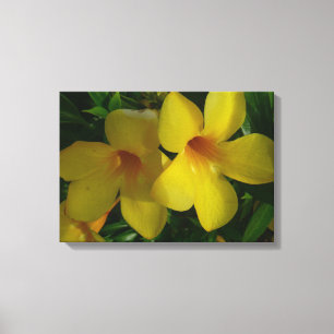 Toile Fleurs de trompette d'or II Tropical