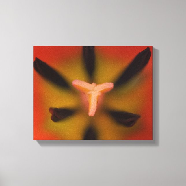 Toile Fleurs de tulipes rouges proches (Recto)