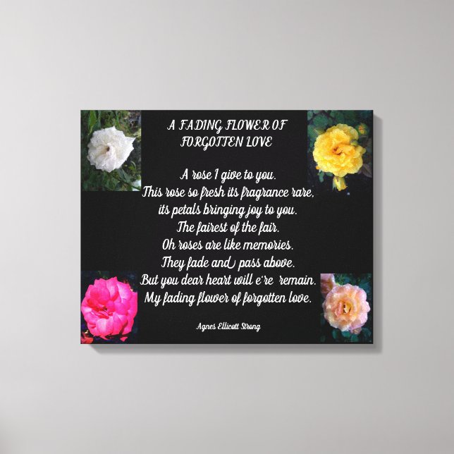 TOILE FLEURS DÉFAVORISÉES AMOUR OUBLIÉ (Recto)