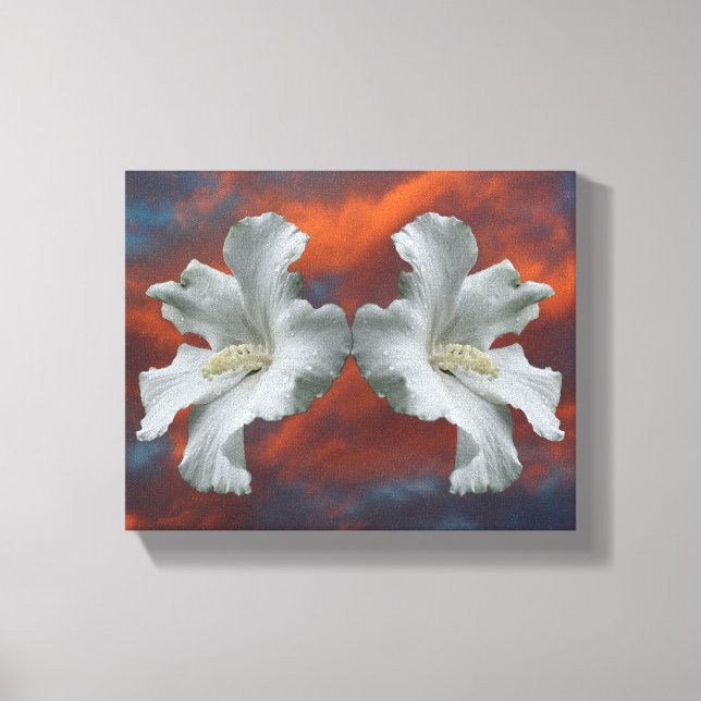 Toile Fleurs D'Hibiscus Blanches Sur Un Ciel Dramatique (Recto)