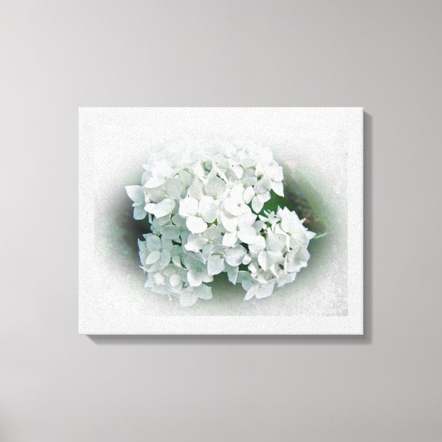Toile Fleurs d'Hydrangée Blanche (Recto)
