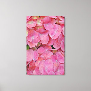 Toile Fleurs d'Hydrangée rose Art photographique