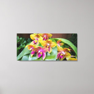Toile Fleurs d'orchidées jaune et rose