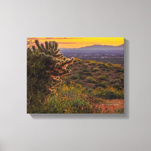 Toile Fleurs du désert de Cholla Cactus Arizona Coucher 